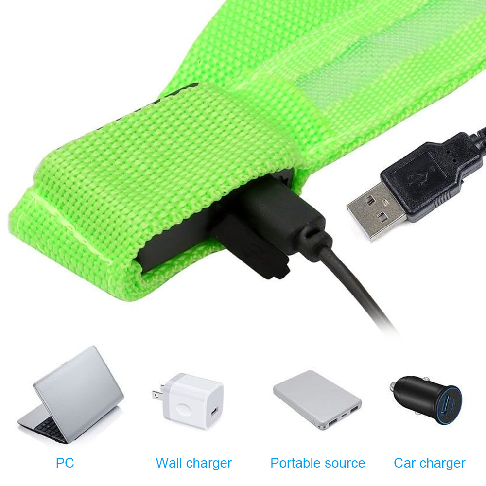 USB Rechargeable LED Pet Dog Collar Flashing 